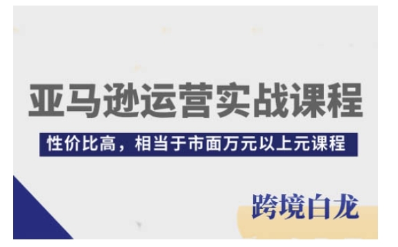 亚马逊运营实战课程,亚马逊从入门到精通,性价比高,相当于市面万元以上元课程-网创源码