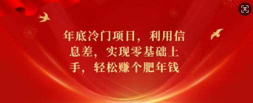 年底冷门项目，利用信息差，实现零基础上手，轻松赚个肥年钱【揭秘】-网创源码