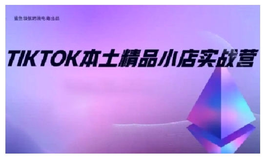 TikTok本土精品小店出海实战营,从入门到高阶,不止0-1!-网创源码