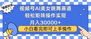 视频号蓝海赛道玩法，当天起号，拉爆流量收益，小白也能轻松月入30000+-网创源码