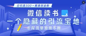 微信读书，一个隐藏的引流宝地，不为人知的小众打法，日引流300+精准创业粉，长尾流量源源不断-网创源码