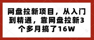 网盘拉新项目，从入门到精通，靠网盘拉新3个多月搞了16W-网创源码