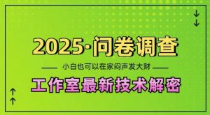 2025问卷调查最新工作室技术解密:一个人在家也可以闷声发大财,小白一天2张,可矩阵放大【揭秘】-网创源码