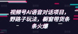 视频号AI语音对话项目,野路子玩法,橱窗带货条条火爆-网创源码