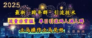 最新“跨年群”引流，流量非常猛，单日引流两人满人群，立马操作立马见效【揭秘】-网创源码