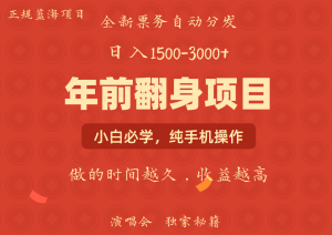 日入1000+ 娱乐项目 全国市场均有很大利润 长久稳定 新手当日变现-网创源码