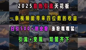 2025自热引流天花板，一条视频能带来四位数的收益，引流+变现双管齐下，日引500+创业粉，涨粉嘎嘎猛-网创源码