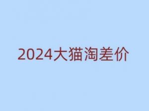 2024版大猫淘差价课程，新手也能学的无货源电商课程-网创源码