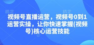 视频号直播运营,视频号0到1运营实操,让你快速掌握(视频号)核心运营技能-网创源码