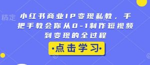 小红书商业IP变现私教,手把手教会你从0-1制作短视频到变现的全过程-网创源码