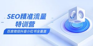 SEO精准流量特训营，百度微信抖音小红书全覆盖，带你搞懂搜索优化核心技巧-网创源码