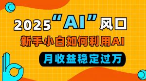 2025“ AI ”风口，新手小白如何利用ai，每月收益稳定过万-网创源码