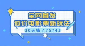 全网首发，低价电影票新玩法，已有人30天搞了75741【揭秘】-网创源码