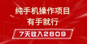 纯手机操作的小项目,有手就能做,7天收入2609+实操教程【揭秘】-网创源码