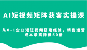 AI短视频矩阵获客实操课，从0-1企业短短视频搭建经验，销售运营成本最高降低50倍-网创源码