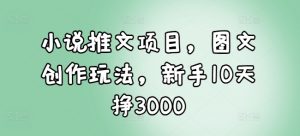小说推文项目，图文创作玩法，新手10天挣3000-网创源码