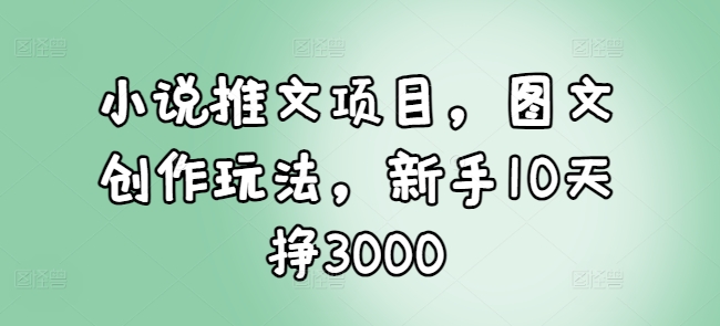 小说推文项目，图文创作玩法，新手10天挣3000-网创源码
