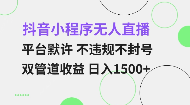 抖音小程序无人直播 平台默许 不违规不封号 双管道收益 日入多张 小白也能轻松操作【仅揭秘】-网创源码