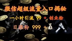 微信超级流量入口揭秘:一小时引流 99 + 创业粉,日涨粉 999 +-网创源码