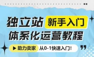 独立站新手入门体系化运营教程，助力独立站卖家从0-1快速入门!-网创源码