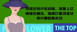 顶流女性IP实战班,流量上亿情绪引爆法,深度打磨顶流女性IP硬核基本功-网创源码
