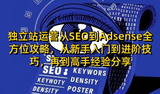 独立站运营从SEO到Adsense全方位攻略,从新手入门到进阶技巧,再到高手经验分享-网创源码