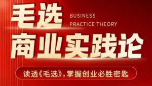 毛选商业实践论，读透《毛选》掌握创业必胜密匙-网创源码