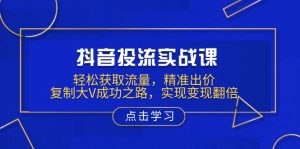 抖音投流实战课，轻松获取流量，精准出价，复制大V成功之路，实现变现翻倍-网创源码