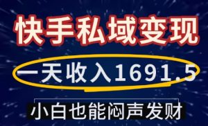 一天收入1691.5,快手私域变现,小白也能闷声发财-网创源码