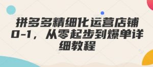 拼多多精细化运营店铺0-1,从零起步到爆单详细教程-网创源码