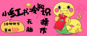 小红书冷知识账号，无脑复制粘贴，5分钟即可变现3张-网创源码