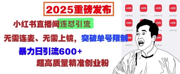 2025重磅发布：小红书直播间连怼引流，无需连麦、无需上镜，突破单号限制，暴力日引流600+-网创源码
