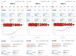 拼多多虚拟店铺项目，电脑挂机自动发货，单店日利润300+-网创源码