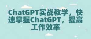 ChatGPT实战教学,快速掌握ChatGPT,提高工作效率-网创源码