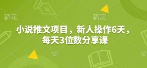 小说推文项目,新人操作6天,每天3位数分享课-网创源码