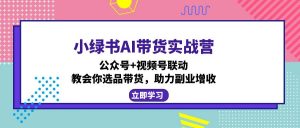 小绿书AI带货实战营：公众号+视频号联动，教会你选品带货，助力副业增收-网创源码