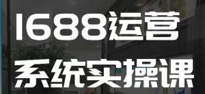 1688高阶运营系统实操课,快速掌握1688店铺运营的核心玩法-网创源码