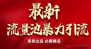 最新“流量池”无门槛暴力引流(全网首发)日引500+-网创源码