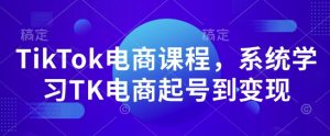 TikTok电商课程,系统学习TK电商起号到变现-网创源码