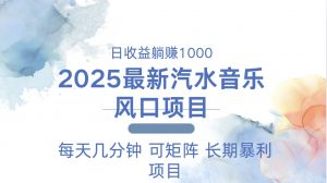2025最新汽水音乐躺赚项目 每天几分钟 日入1000＋-网创源码
