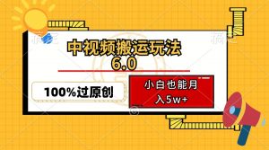 中视频搬运玩法6.0，利用软件双重去重，100%过原创，小白也能月入5w+-网创源码