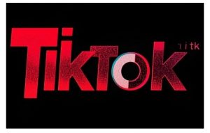 TikTok ads投流秘籍，涵盖tiktok整体投放思路，教你搭建测试计划-网创源码