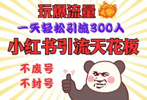 小红书引流天花板,玩爆流量,一天轻松引流300人,安全操作-网创源码
