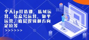 个人ip打造课，私域运营，公众号运营，知乎运营，底层逻辑和方向定位等-网创源码