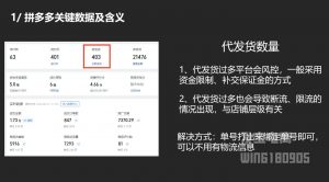 纪主任·拼多多年费会员(更新2025年1月)-网创源码