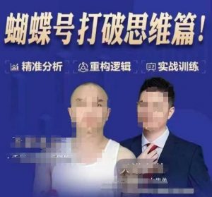 天诺老吴蝴蝶号50节线上课,蝴蝶号打破思维篇-网创源码