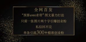 小红书神奇图片引流法,只需一张图,就能单条笔记凭借此方法,轻松引流 300 + 精准创业粉-网创源码