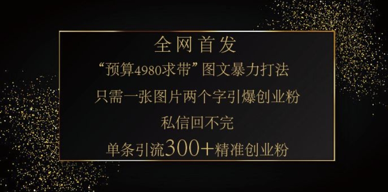 小红书神奇图片引流法,只需一张图,就能单条笔记凭借此方法,轻松引流 300 + 精准创业粉-网创源码