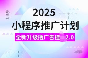 2025小程序推广计划,全新升级撸广告挂JI2.0玩法,日入多张,小白可做【揭秘】-网创源码