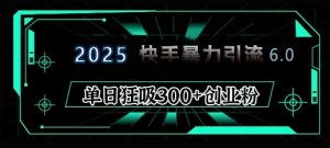 2025年快手6.0保姆级教程震撼来袭,单日狂吸300+精准创业粉-网创源码